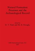 Natural Formation Processes and the Archaeological Record