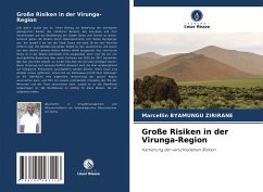 Große Risiken in der Virunga-Region - Byamungu Zirirane, Marcellin