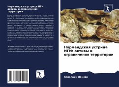 Cover Normandskaq ustrica IGI: aktiwy i ogranicheniq territorii