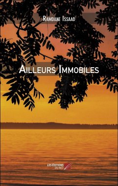 Cover Ailleurs Immobiles (eBook, ePUB)