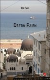 Destin Paien (eBook, ePUB)