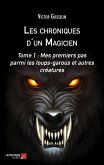 Les chroniques d'un Magicien (eBook, ePUB)