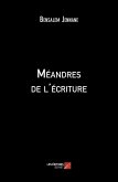 Meandres de l'ecriture (eBook, ePUB)