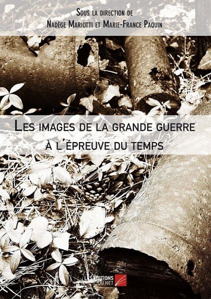 Les images de la grande guerre a l'epreuve du temps (eBook, ePUB)
