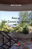 Amalia, a la Croisee des mondes (eBook, ePUB)
