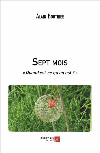 Sept mois (eBook, ePUB)