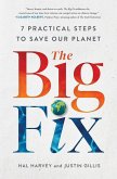 The Big Fix (eBook, ePUB)