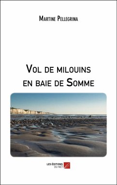 Cover Vol de milouins en baie de Somme (eBook, ePUB)