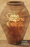 Cómo ocuparse del Espíritu (eBook, ePUB) Cómo ocuparse del Espíritu (eBook, ePUB)