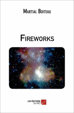 Cover Fireworks (eBook, ePUB)