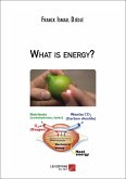 What is energy? (eBook, ePUB)