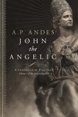 John the Angelic (eBook, ePUB)
