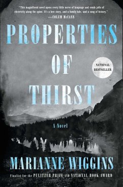 Properties of Thirst (eBook, ePUB) - Wiggins, Marianne