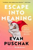 Escape into Meaning (eBook, ePUB)