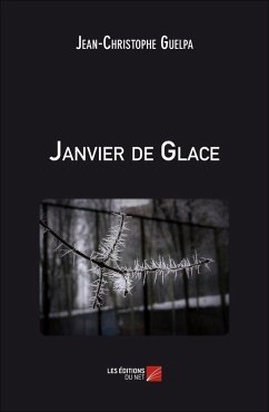 Cover Janvier de Glace (eBook, ePUB)