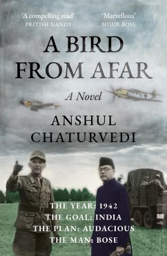 A Bird from Afar (eBook, ePUB) - Chaturvedi, Anshul