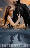 Cowgirl Bikers MC #3 (eBook, ePUB)