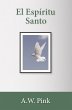 El Espíritu Santo (eBook, ePUB) - Bild 1