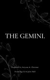 THE GEMINI. (eBook, ePUB)