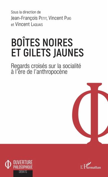 Boites noires et gilets jaunes (eBook, ePUB)