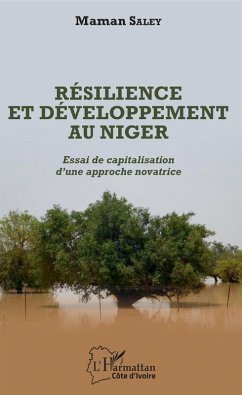 Cover Resilience et developpement au Niger (eBook, ePUB)