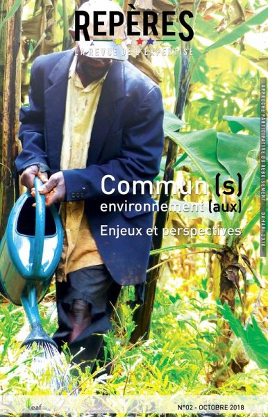 Commun (s) environnement (aux). Enjeux et perspectives (eBook, ePUB) Commun (s) environnement (aux). Enjeux et perspectives (eBook, ePUB)