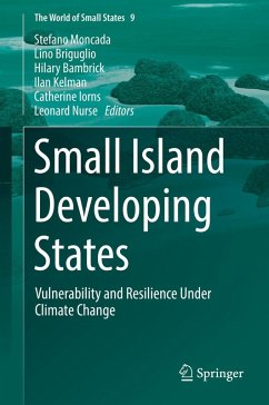 Cover Small Island Developing States (eBook, PDF)