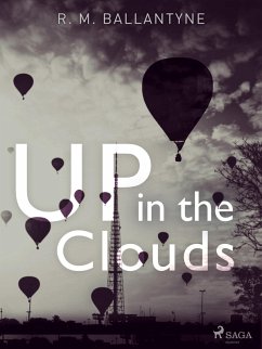 Cover Up in the Clouds (eBook, ePUB)