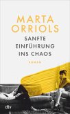 Sanfte Einführung ins Chaos (eBook, ePUB)