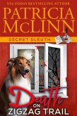 Death on ZigZag Trail (Secret Sleuth, Book 7) (eBook, ePUB)