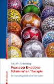 Praxis der Emotionsfokussierten Therapie (eBook, ePUB)