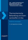 Thermochemische Behandlung von Eisenwerkstoffen im Gas (eBook, ePUB)