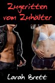 Zugeritten vom Zuhälter (eBook, ePUB)