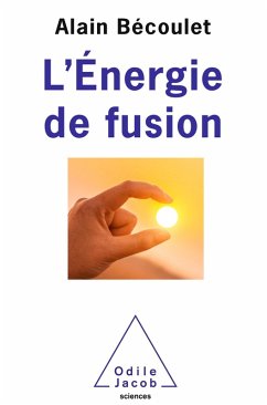 Cover L' Energie de fusion (eBook, ePUB)