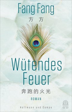Wütendes Feuer (eBook, ePUB) - Fang, Fang