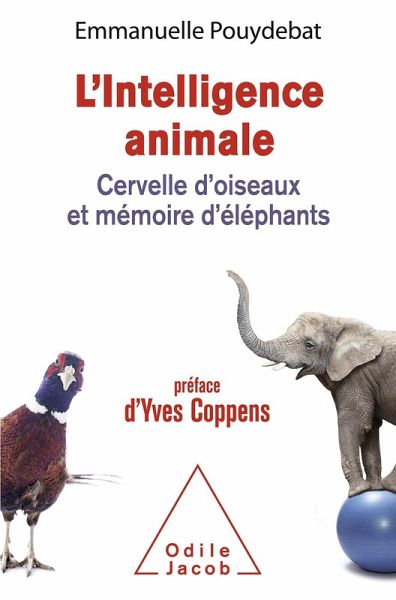 L' Intelligence animale (eBook, ePUB) L' Intelligence animale (eBook, ePUB)