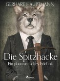 Die Spitzhacke - Ein phantastisches Erlebnis (eBook, ePUB)