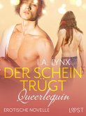 Queerlequin: Der Schein trügt (eBook, ePUB)