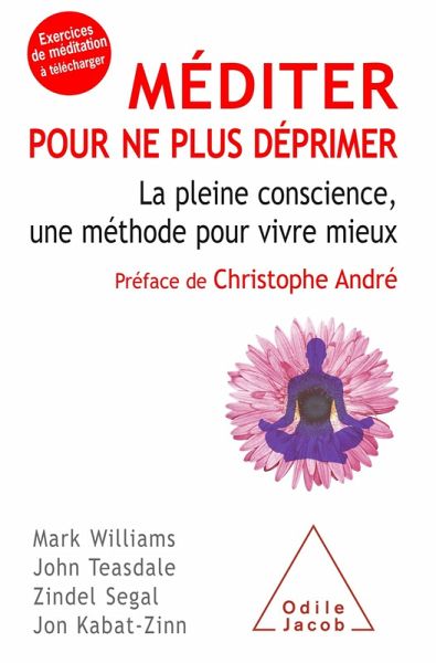 Mediter pour ne plus deprimer (eBook, ePUB)