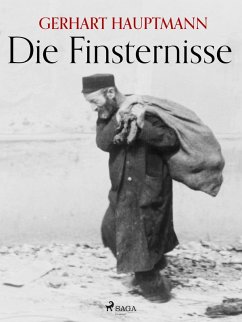 Die Finsternisse (eBook, ePUB) - Hauptmann, Gerhart