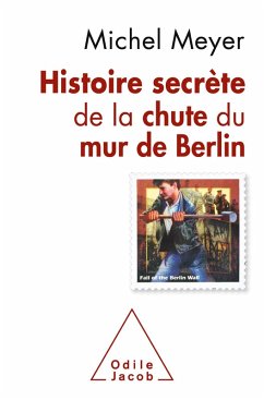 Cover Histoire secrete de la chute du mur de Berlin (eBook, ePUB)