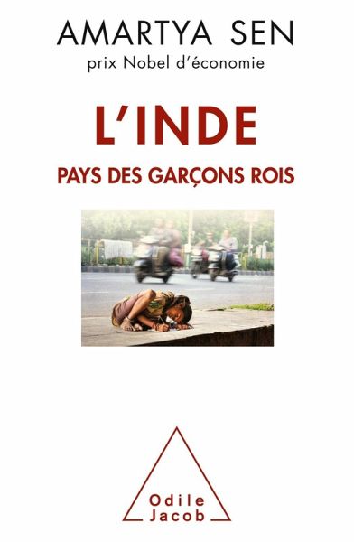 L' Inde, pays des garcons rois (eBook, ePUB)