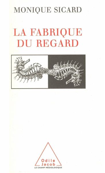 La Fabrique du regard (eBook, ePUB) La Fabrique du regard (eBook, ePUB)
