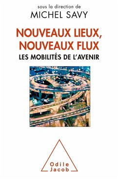 Nouveaux lieux, nouveaux flux (eBook, ePUB) - Michel Savy, Savy