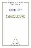 Cyberculture (eBook, ePUB)