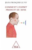 Comment l'esprit produit du sens (eBook, ePUB) Comment l'esprit produit du sens (eBook, ePUB)