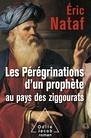 Cover Les Peregrinations d'un prophete au pays des ziggourats (eBook, ePUB)