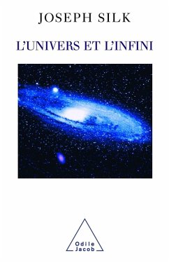 L' Univers et l'Infini (eBook, ePUB) - Joseph Silk, Silk