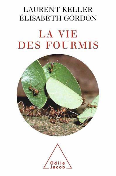 La Vie des fourmis (eBook, ePUB) La Vie des fourmis (eBook, ePUB)