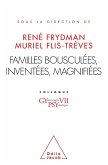 Familles bousculees, inventees, magnifiees (eBook, ePUB) Familles bousculees, inventees, magnifiees (eBook, ePUB)